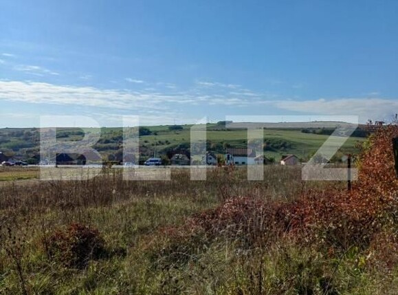 Teren de vânzare Copaceni - 180951TV | BLITZ Cluj-Napoca | Poza1