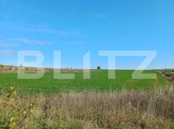 Teren de vânzare Copaceni - 180951TV | BLITZ Cluj-Napoca | Poza3