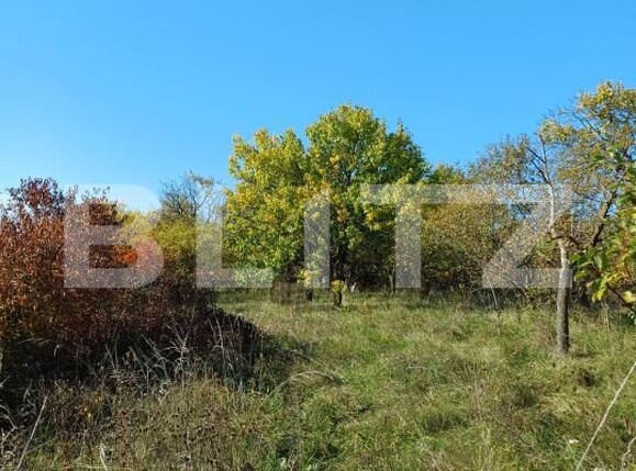 Teren de vânzare Copaceni - 180951TV | BLITZ Cluj-Napoca | Poza2