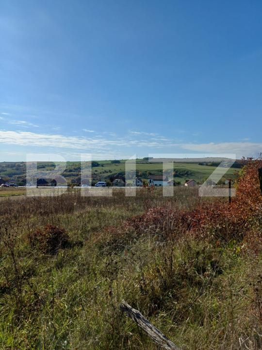 Teren de vânzare Copaceni - 180951TV | BLITZ Cluj-Napoca | Poza1