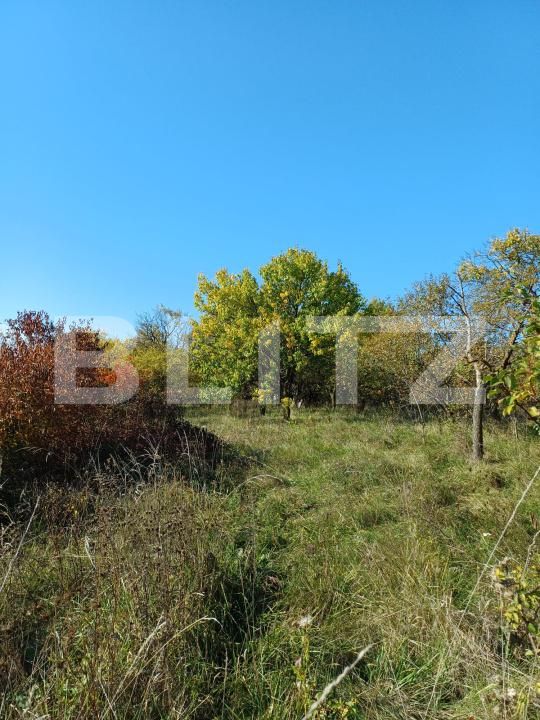 Teren de vânzare Copaceni - 180951TV | BLITZ Cluj-Napoca | Poza2