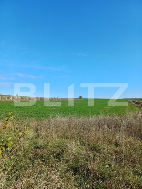 Teren de vânzare Copaceni - 180951TV | BLITZ Cluj-Napoca | Poza3