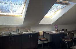 Apartament cu 2 camere decomandate, 47 mp, zona Florilor