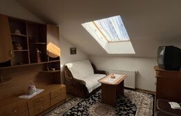 Apartament cu 2 camere decomandate, 47 mp, zona Florilor