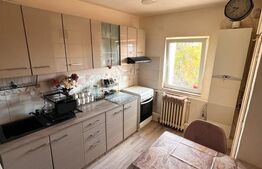 Apartament 3 camere, 66 mp, garaj, 2 balcoane, zona Garii,Dâmbul Rotund