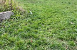 Investiție! Teren de 1590mp intravilan central în Dezmir!