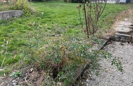 Investiție! Teren de 1590mp intravilan central în Dezmir!