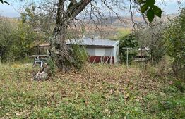 Investiție! Teren de 1590mp intravilan central în Dezmir!