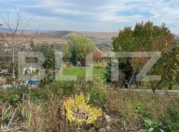 Teren de vânzare Dezmir - 181057TV | BLITZ Cluj-Napoca | Poza5