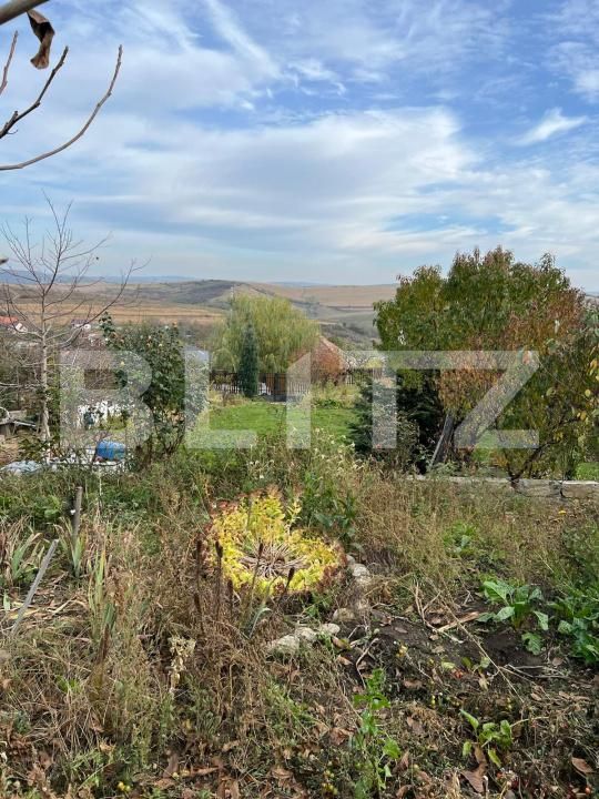 Teren de vânzare Dezmir - 181057TV | BLITZ Cluj-Napoca | Poza5