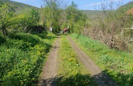 Teren de vis în Stejeriș – utilități, natură, acces rapid!