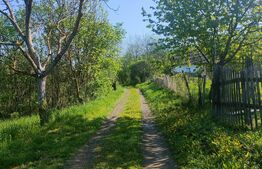 Teren de vis în Stejeriș – utilități, natură, acces rapid!