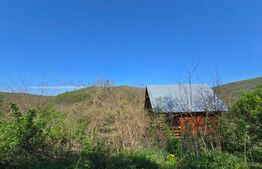 Teren de vis în Stejeriș – utilități, natură, acces rapid!