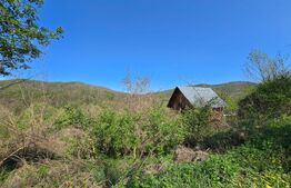 Teren de vis în Stejeriș – utilități, natură, acces rapid!