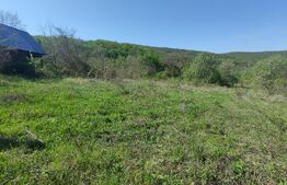 Teren de vis în Stejeriș – utilități, natură, acces rapid!