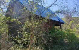 Teren de vis în Stejeriș – utilități, natură, acces rapid!