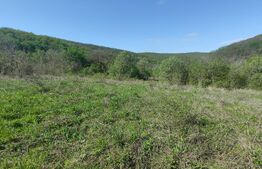 Teren de vis în Stejeriș – utilități, natură, acces rapid!