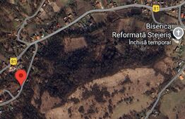 Teren de vis în Stejeriș – utilități, natură, acces rapid!