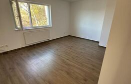 Apartament 2 niveluri, 177 mp, zona rezidențială Grigorescu