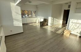 Apartament 2 niveluri, 177 mp, zona rezidențială Grigorescu