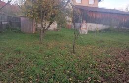 Casa batraneasca 15 minute de Brasov, 2 CAMERE 380 MP TEREN