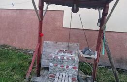 Casa batraneasca 15 minute de Brasov, 2 CAMERE 380 MP TEREN