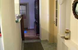 Casa de inchiriat, 75 mp cu 200 mp curte, zona strazii Constantin Brancusi