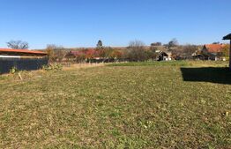 🌄 Teren de vânzare în județul Brașov – 1.481 mp, utilități, priveliște superbă!