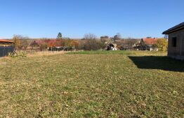 🌄 Teren de vânzare în județul Brașov – 1.481 mp, utilități, priveliște superbă!