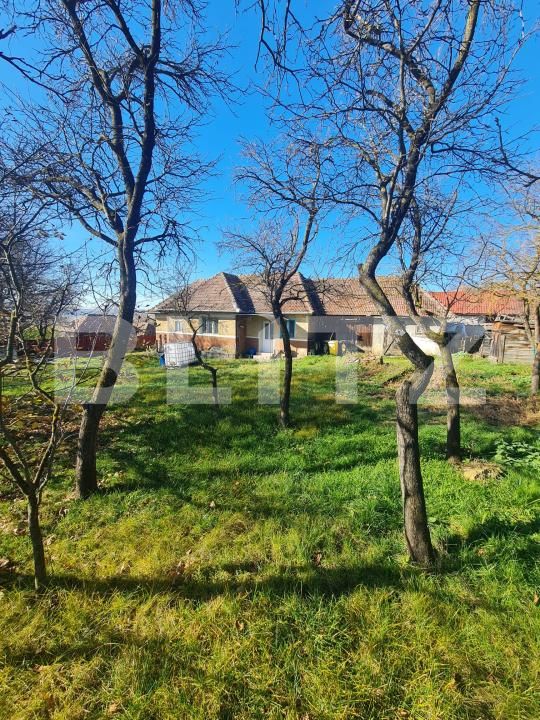 Casa de vânzare 2 camere Exterior Sud - 181119CV | BLITZ Cluj-Napoca | Poza4