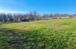 Teren intravilan, 2589 mp, Certificat de urbanism, Rediu, com. Aiton