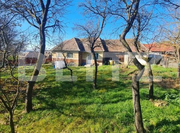 Teren de vânzare Exterior Sud - 181121TV | BLITZ Cluj-Napoca | Poza2