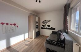 Apartament cu 3 camere, vedere superba spre Cetatea Rasnov si Muntii Bucegi