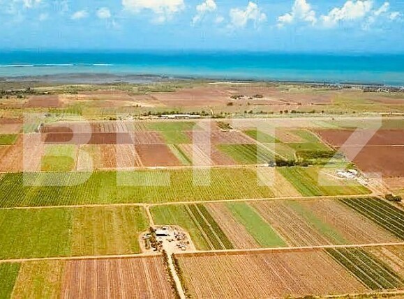 Teren de vânzare Făgăraş - 181161TV | BLITZ Brașov | Poza1