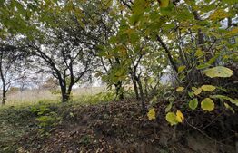 Teren spre vanzare pentru constructie casa in Feleacu.