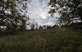 Teren spre vanzare pentru constructie casa in Feleacu.