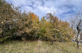 Teren spre vanzare pentru constructie casa in Feleacu.