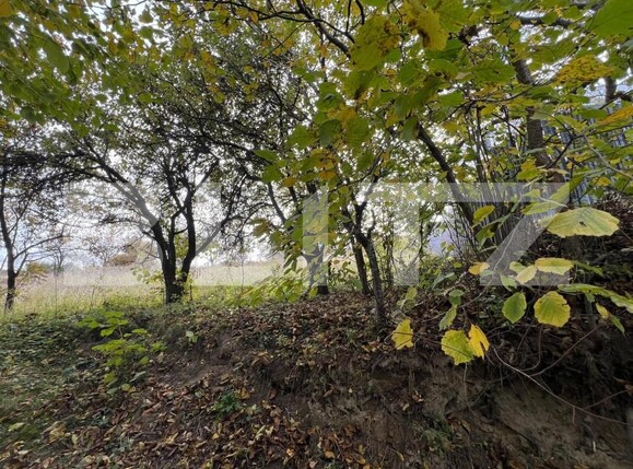 Teren de vânzare Exterior Sud - 181172TV | BLITZ Cluj-Napoca | Poza2