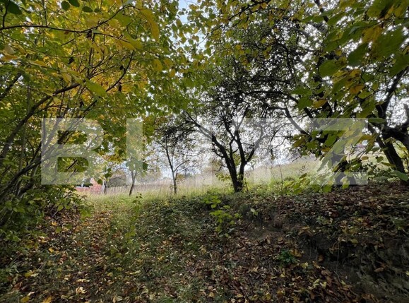 Teren de vânzare Exterior Sud - 181172TV | BLITZ Cluj-Napoca | Poza4