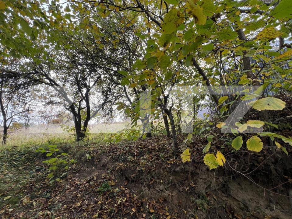 Teren de vânzare Exterior Sud - 181172TV | BLITZ Cluj-Napoca | Poza3