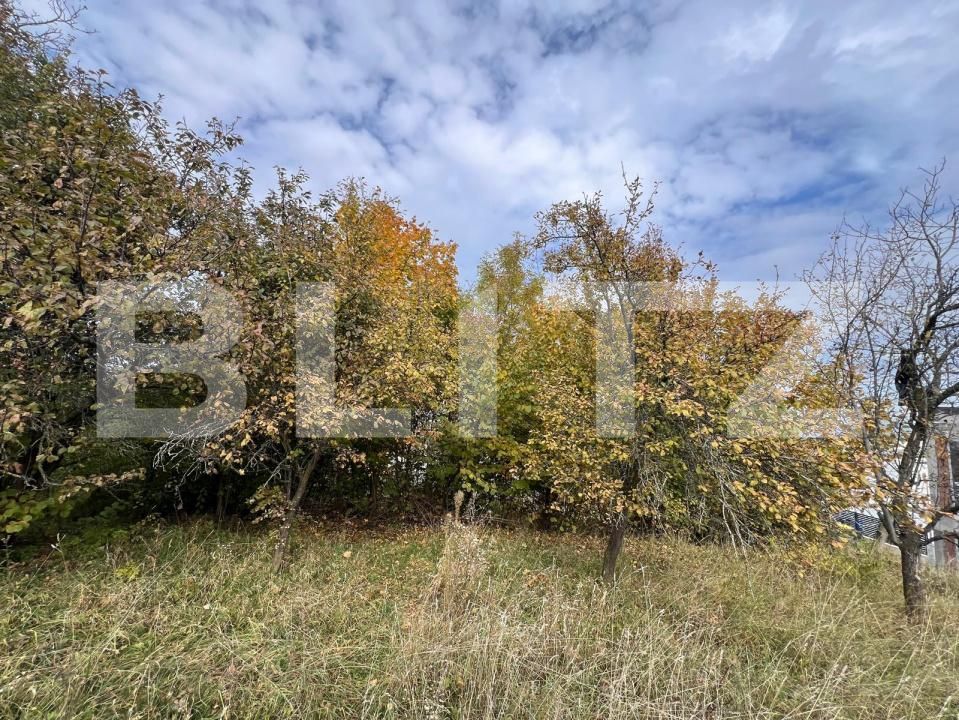 Teren de vânzare Exterior Sud - 181172TV | BLITZ Cluj-Napoca | Poza2