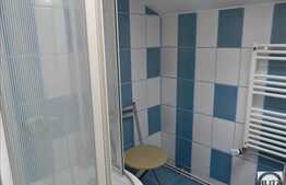 Vanzare casa alipita, 100 mp utili, 325 mp teren, zona linistita