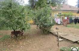 Vanzare casa individuala, 70 mp, 748 mp teren, zona linistita