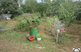 Vanzare casa individuala, 70 mp, 748 mp teren, zona linistita