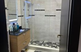 Apartament cu 1 camera, 43 de mp, curte mare, Grigorescu