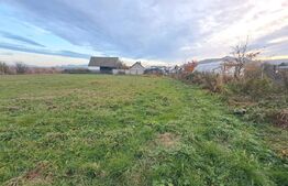 Casa de vanzare, 5 camere, teren generos de 1.290 m², zona Dumbrăvița