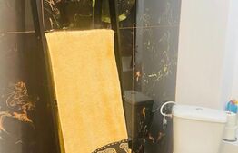 Garsonieră modernă, complet utilată și finisată cu gust - zona Steagu