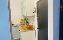 Garsonieră modernă, complet utilată și finisată cu gust - zona Steagu