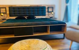 Garsonieră modernă, complet utilată și finisată cu gust - zona Steagu