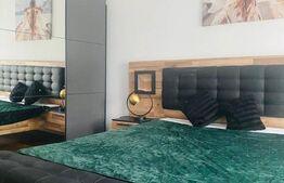 Garsonieră modernă, complet utilată și finisată cu gust - zona Steagu